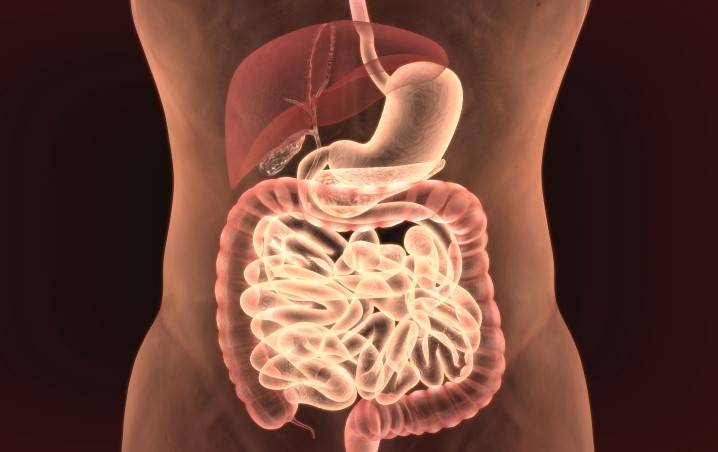 Traitement des troubles du transit et de la constipation par l'acupuncture à Lyon